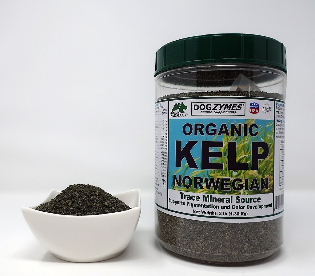 Nature's Farmacy Dogzymes Norwegian Kelp Dog Supplement