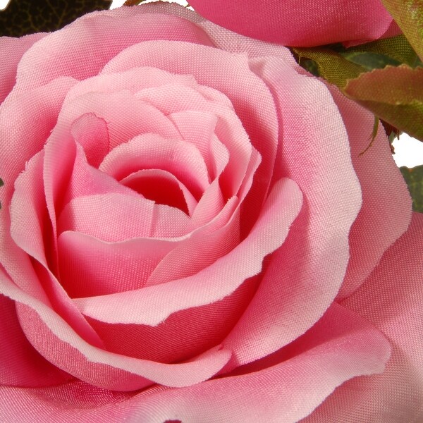 10 Potted Pink Rose Flowers