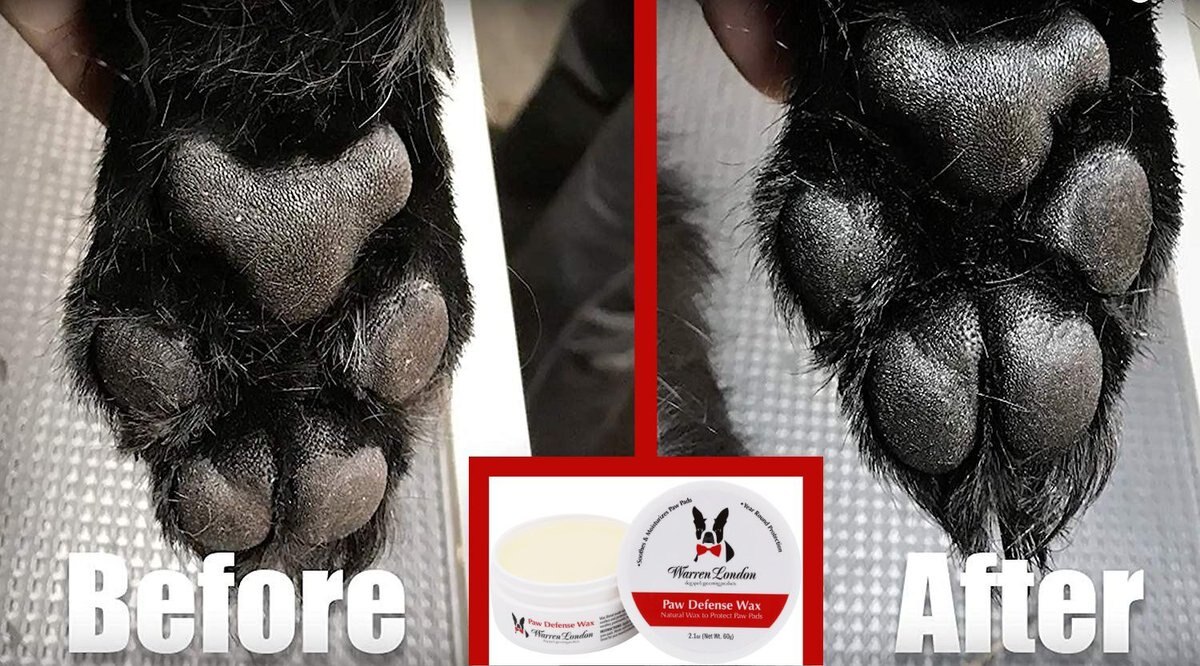 Warren London Dog Paw Defense Wax