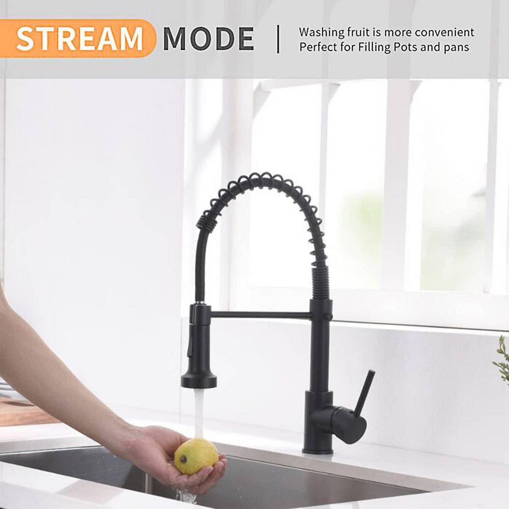 FLG 1-Handle Commercial Kitchen Sink Faucet With Pull Down Sprayer Single Hole Kitchen Faucets Spring Modern Tap Matte Black CC-0022-MB