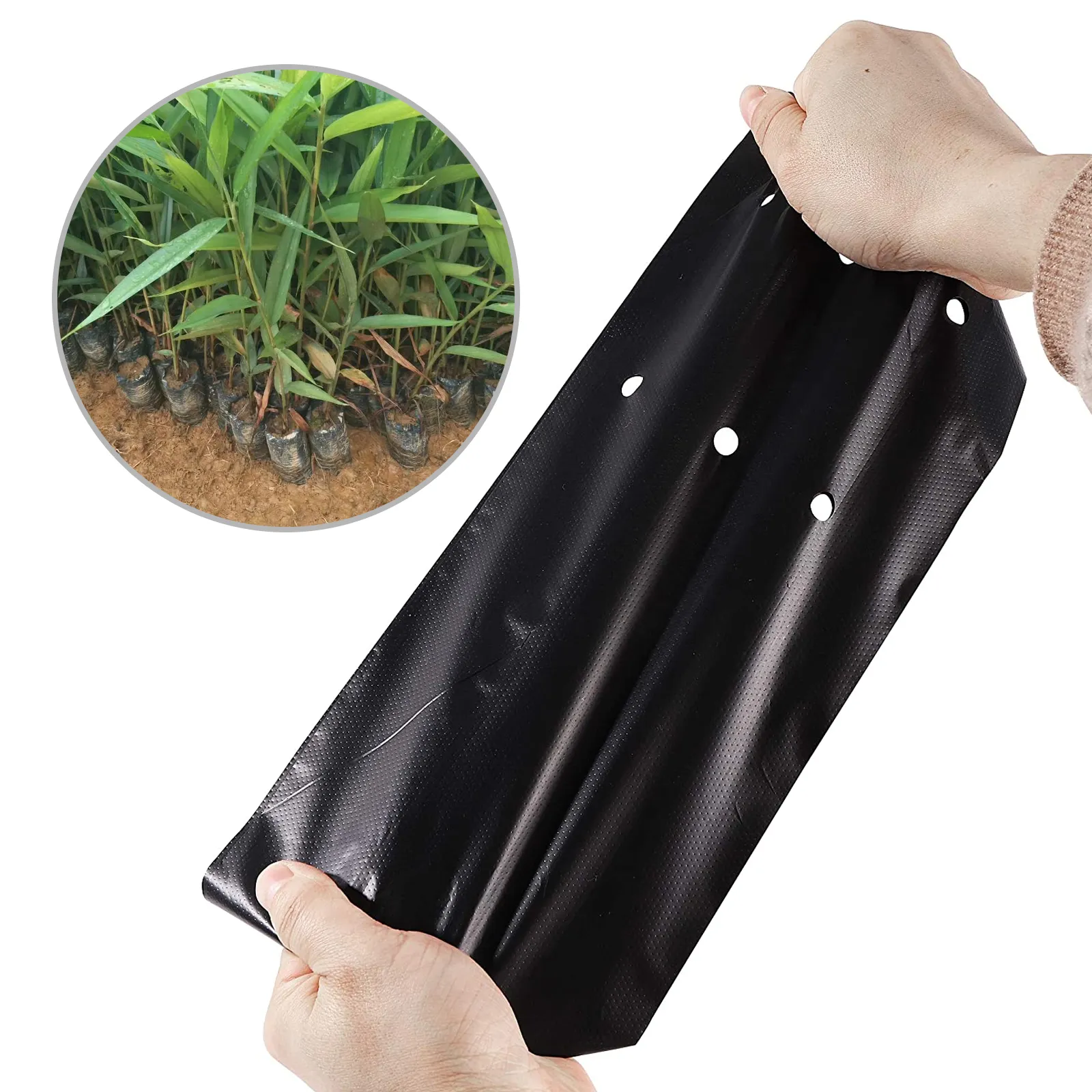 100Pcs Thicken PE Seedling Bag Fruit Tree Seeds Seedling Cup Bonsai Planting Growing Nursery Bags Greenhouse For Garden Supplies