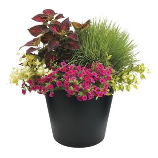 Vigoro 20 in. Kyra Large Black Resin Planter (20 in. D x 17.3 in. H) with Attached Saucer HD1452-001P