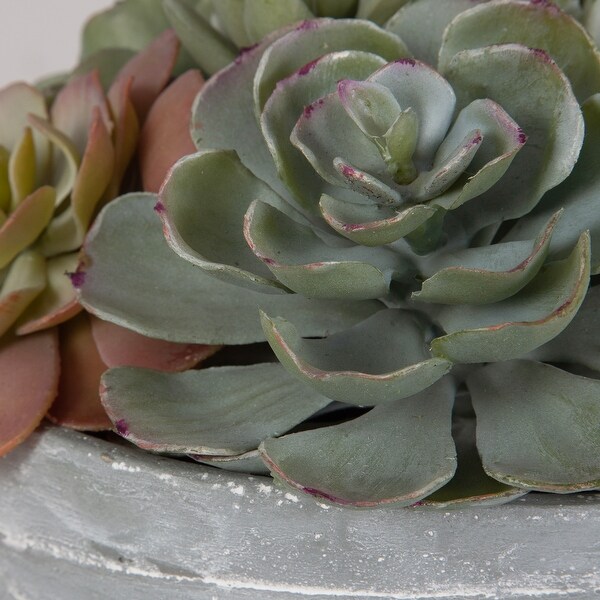 Uttermost Peoria Succulent Accent