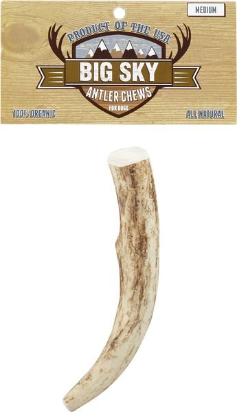 Big Sky Antler Chews Natural Elk Antler Dog Chews， Medium