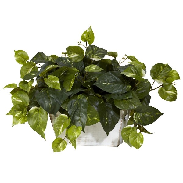 Pothos with White Wash Planter Silk Plant