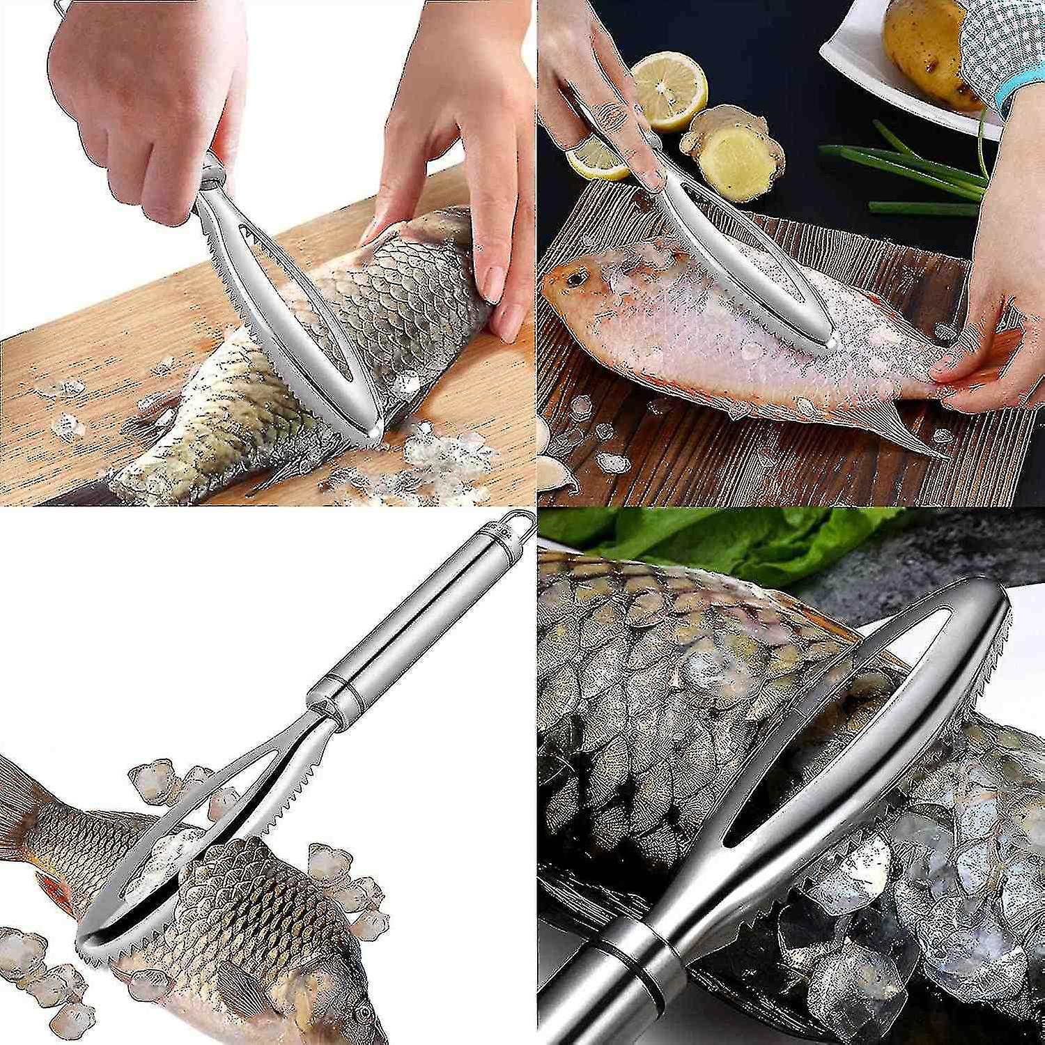 Fishing Scales， Fishing Scale Stainless Steel Removal Fish， Professional Fish Gift