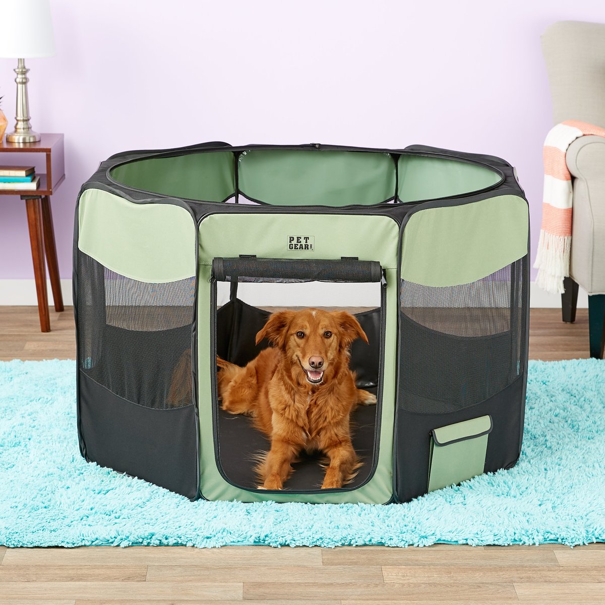 Pet Gear Travel Lite Soft-Sided Dog and Cat Pen with Removable Top， Sage