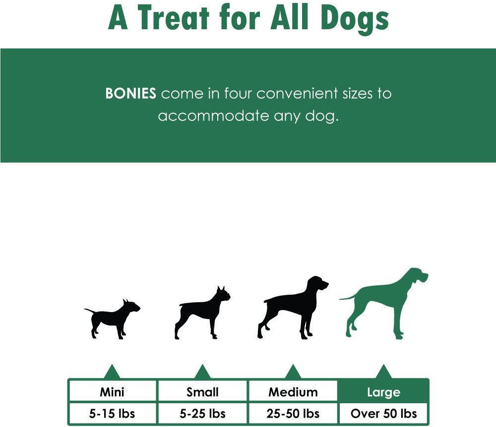 BONIES Skin and Coat Formula Large Dog Treats