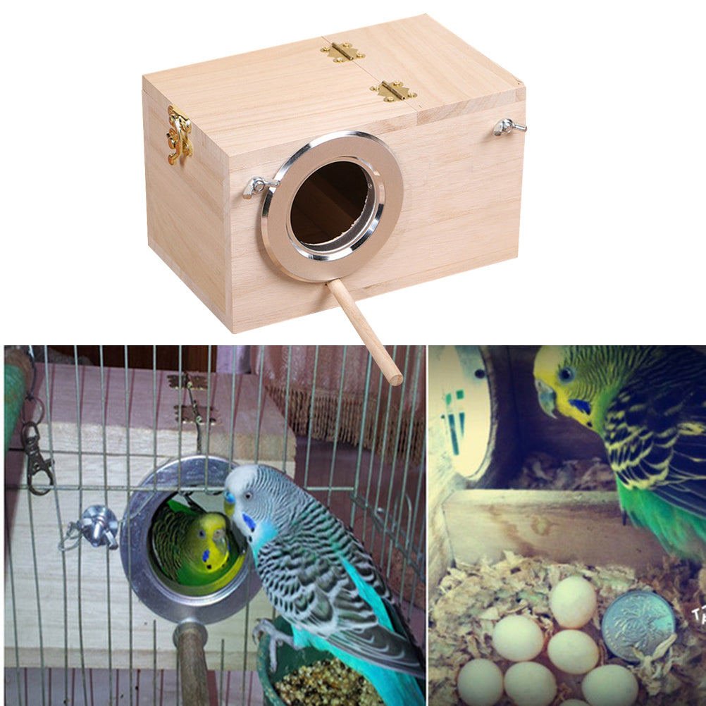 Bird Parrot Holder Wooden Bird Nesting Organizer Clear View Window Bird House