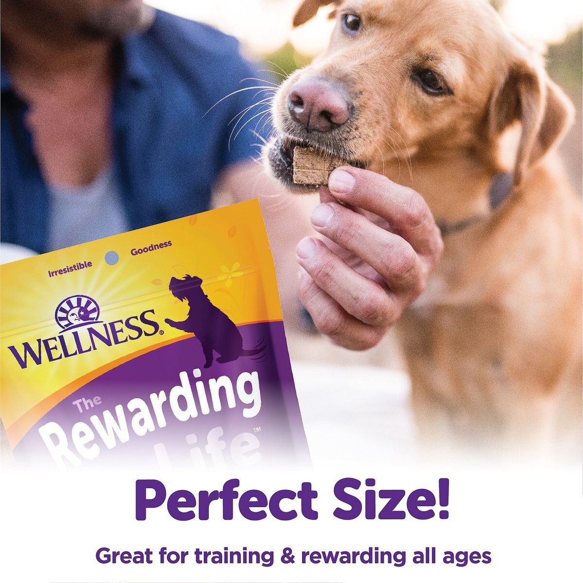 Wellness Rewarding Life Beef and Turkey Grain-Free Soft and Chewy Dog Treats