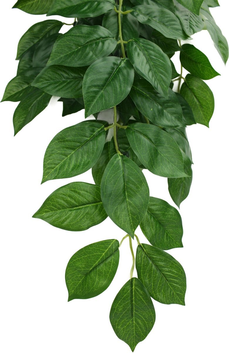 Komodo Climbing Green Leaf Aquarium Plant