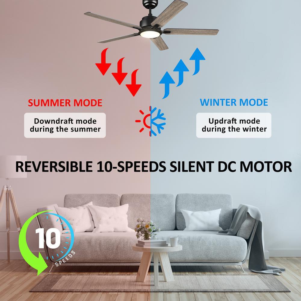 CARRO Essex 52 in Dimmable LED IndoorOutdoor Black Smart Ceiling Fan with Light and Remote Works wAlexaGoogle Home