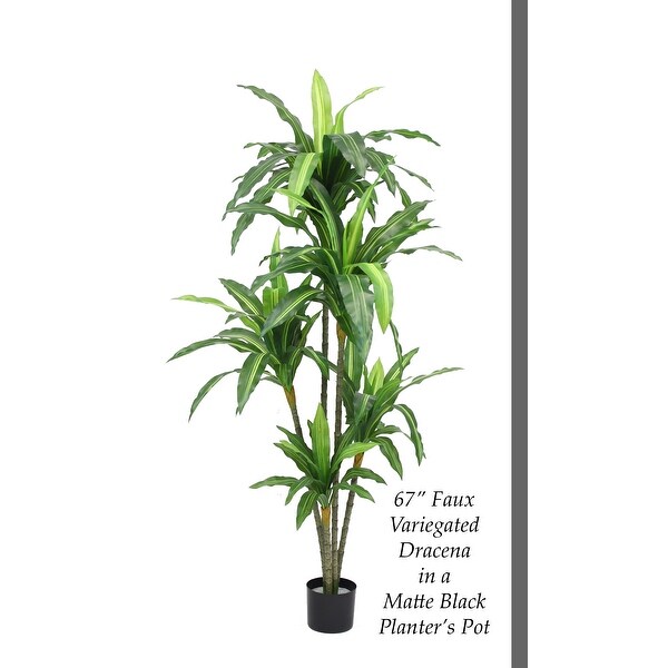 The Mod Greenhouse Artificial Dracaena Plant in Black Matte Planter's Pot