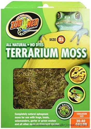 Terrarium Moss