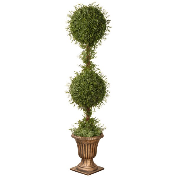 60inch Mini Tea Leaf 2ball Topiary with Black and Gold Urn