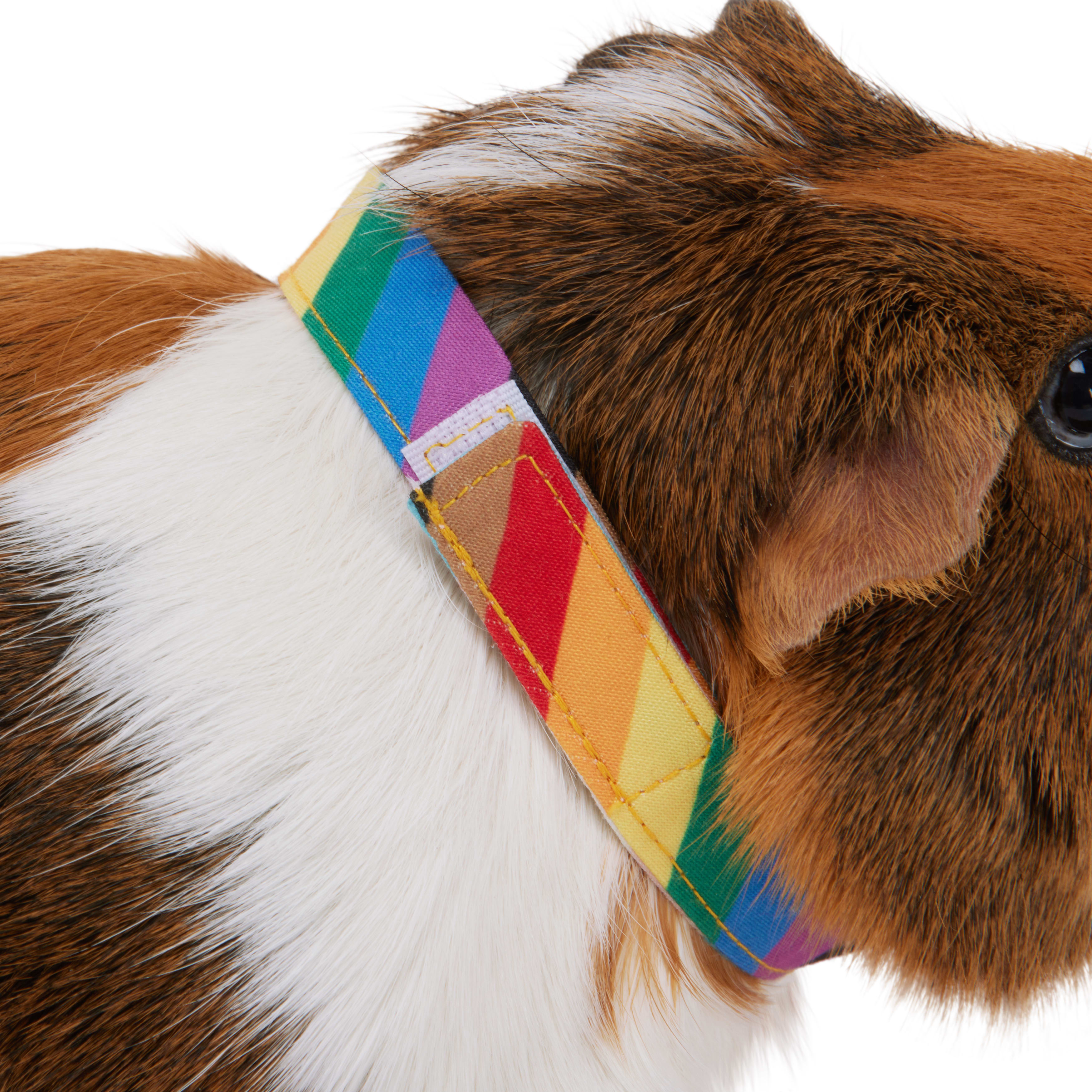 YOULY Pride Bandana for Small Animal， Small/Medium