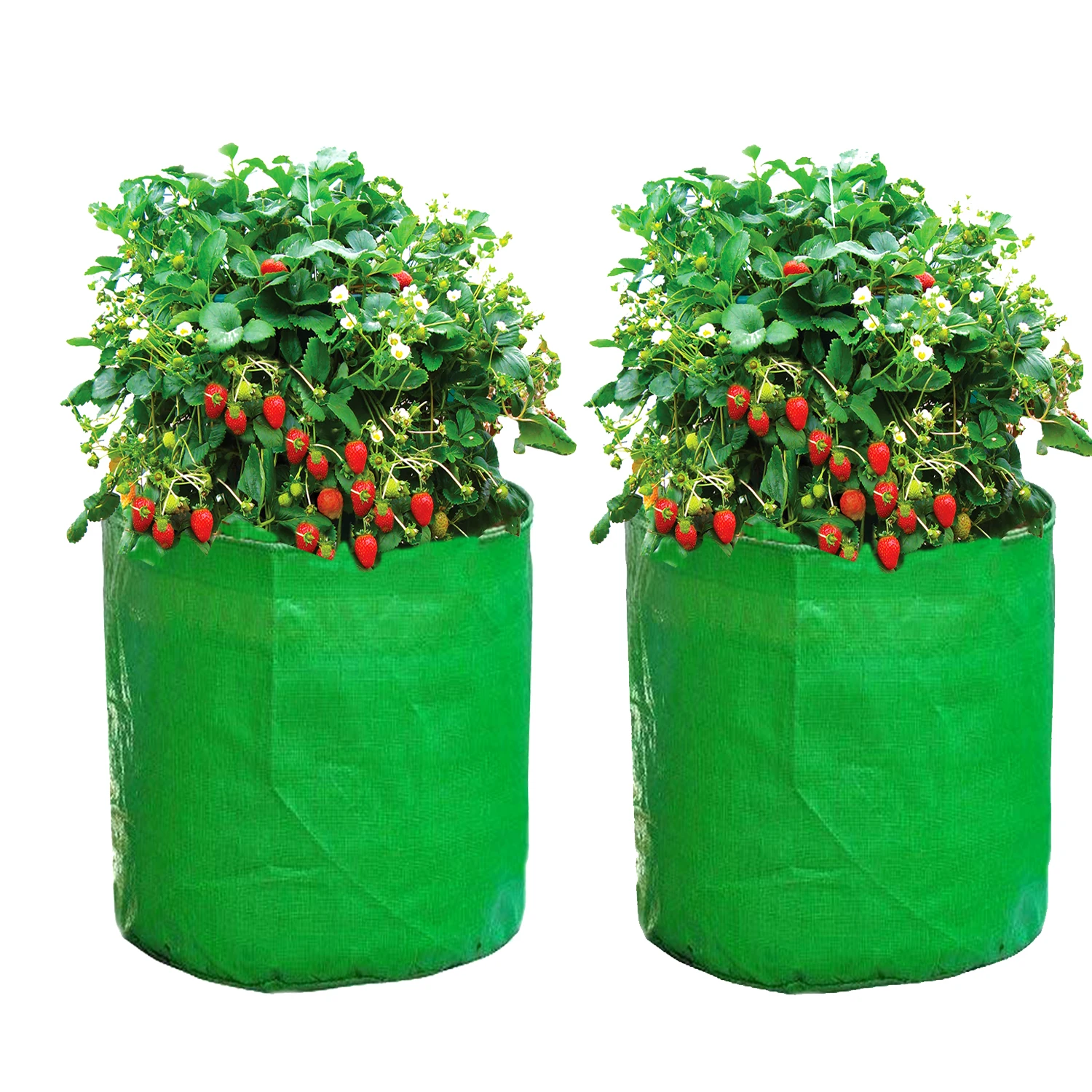 Hot Selling Bulk Supply Plant Grow Felt Container Fabric Plant Grow Bags For Garden Supplies at Bulk Selling Price