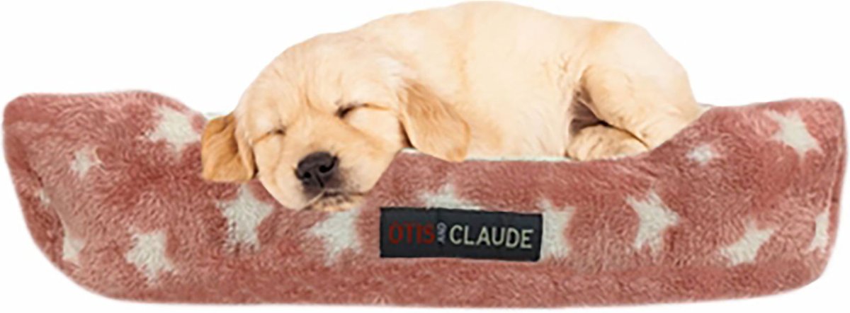 Otis and Claude Coral Velvet Cat and Dog Bed， Pink