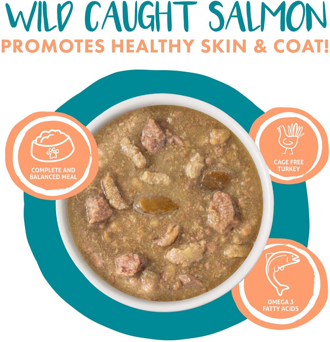 Weruva Classic Cat Stew's Clues Turkey， Chicken and Salmon in Gravy Stew Wet Canned Cat Food