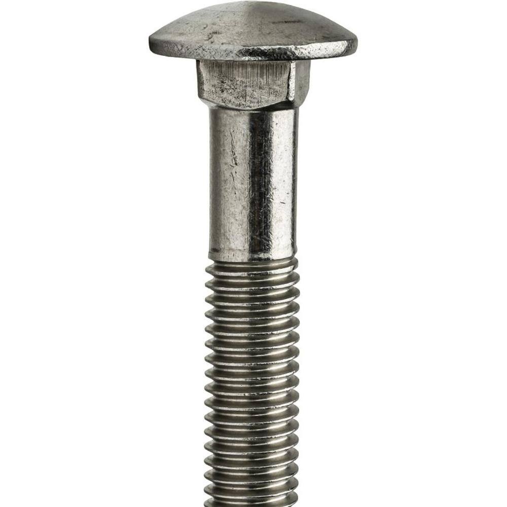 Robtec 12 in. x 8 in. Stainless-Steel Carriage Bolt (10-Pack) RTI2320027