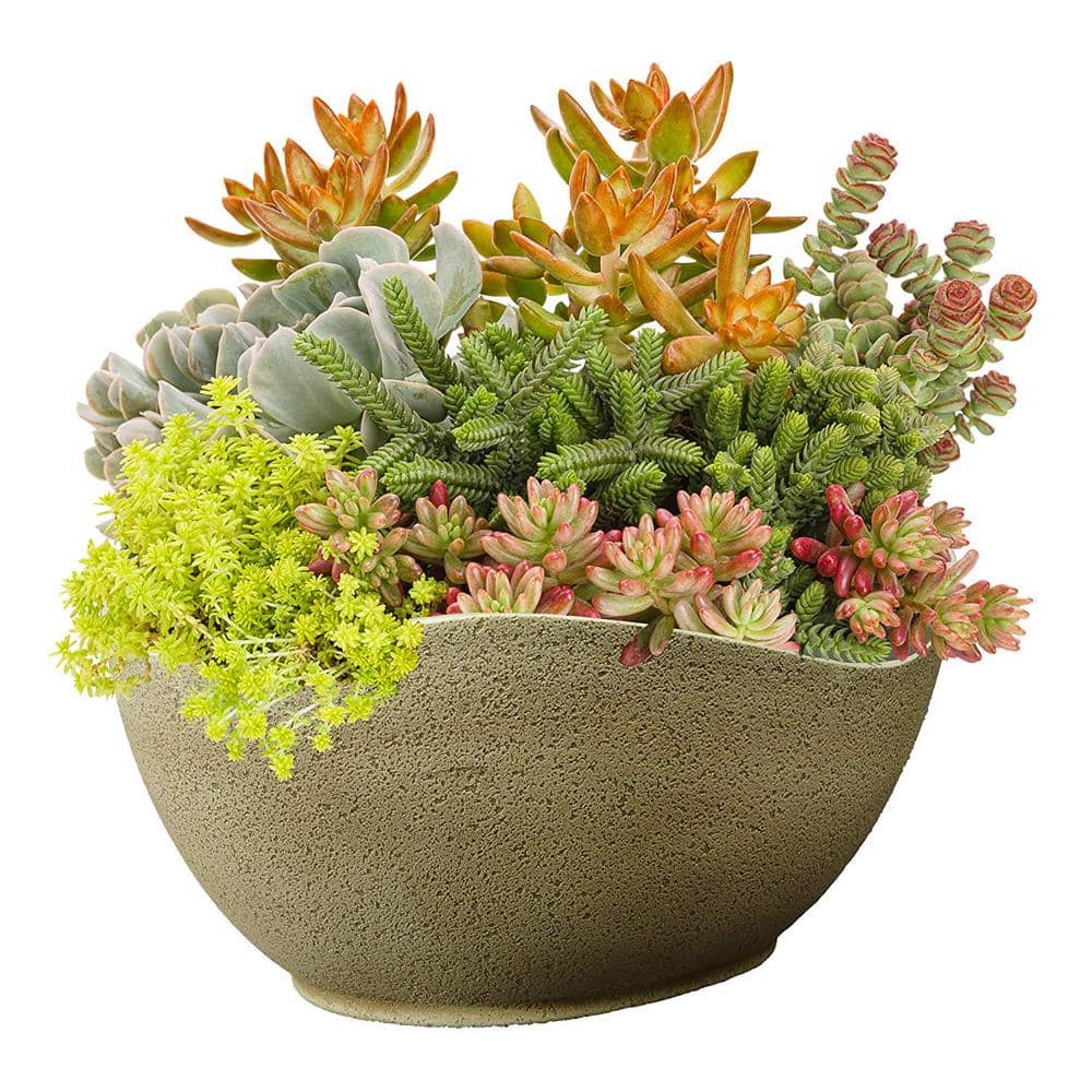 Classic Home and Garden 12.5 in. Desert Resin Arc Planter 573D-514