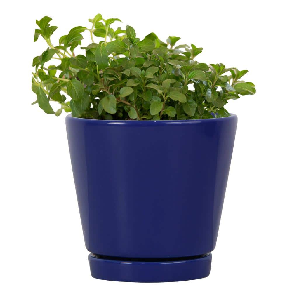 Trendspot 4 in. Blue Knack Ceramic Planter (Pack of 2) ECR01721S-04M2