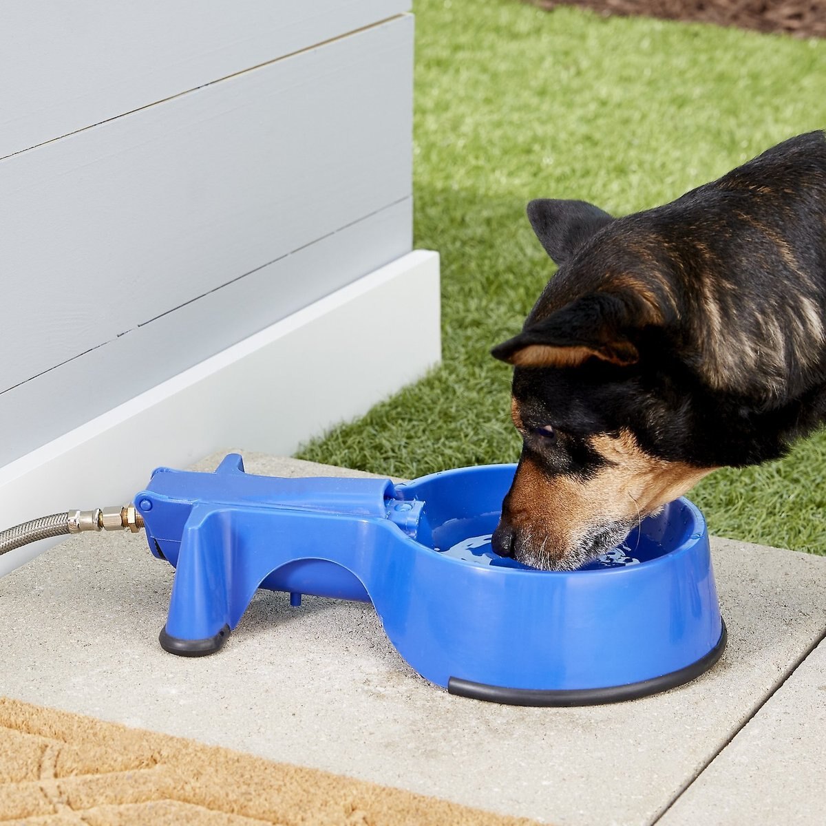 The Easy-Clean Water Bowl Dog， Cat and Livestock Auto-Fill Water Bowl with Hose