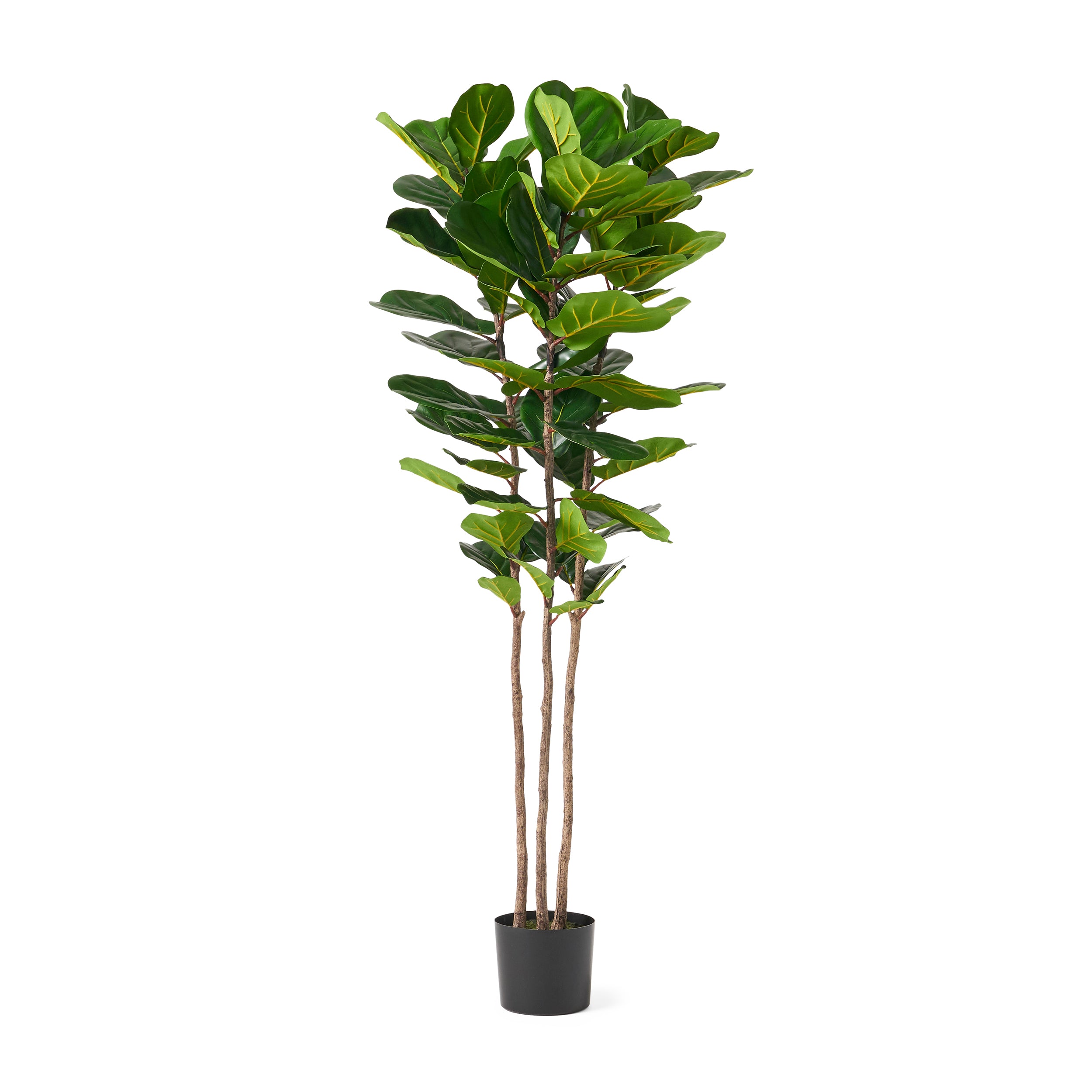 Stilwell Artificial Fiddle-Leaf Fig Tree