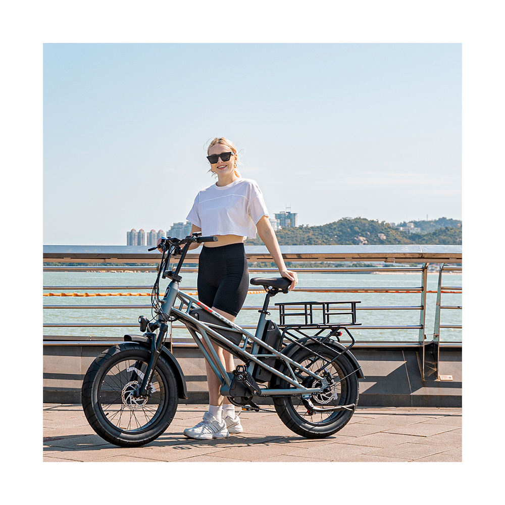 Dual Motor Ebike Big Battery Electric Cycle Fat Tire Full Suspension Electric Bike 48V 750w Electric Mountain