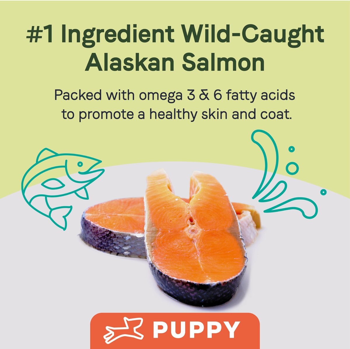 CANIDAE Sustain Premium Puppy Recipe with Wild-Caught Alaskan Salmon Dry Dog Food