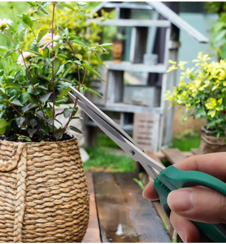 Green Small Bonsai Shear Garden Pruning Shear Garden Scissors