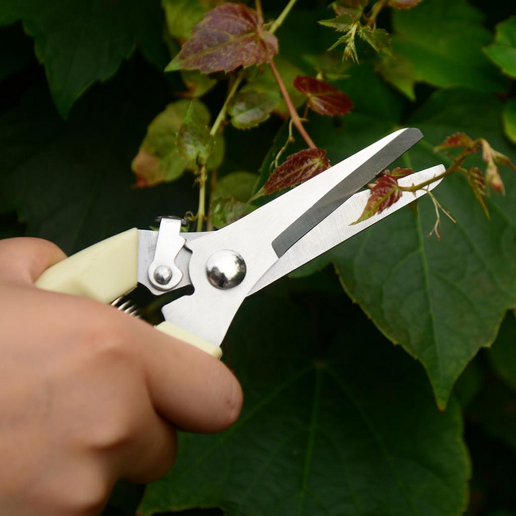 Bonsai Pruning Branch Secateur with Anti-slip Handle Cutting Hand Tools