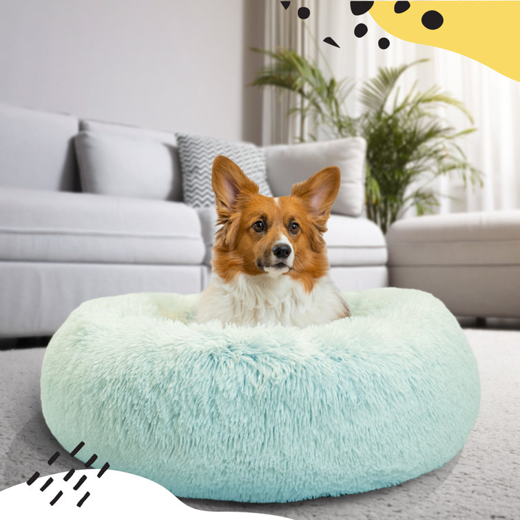 Best Friends by Sheri The Original Calming Donut Cat and Dog Bed