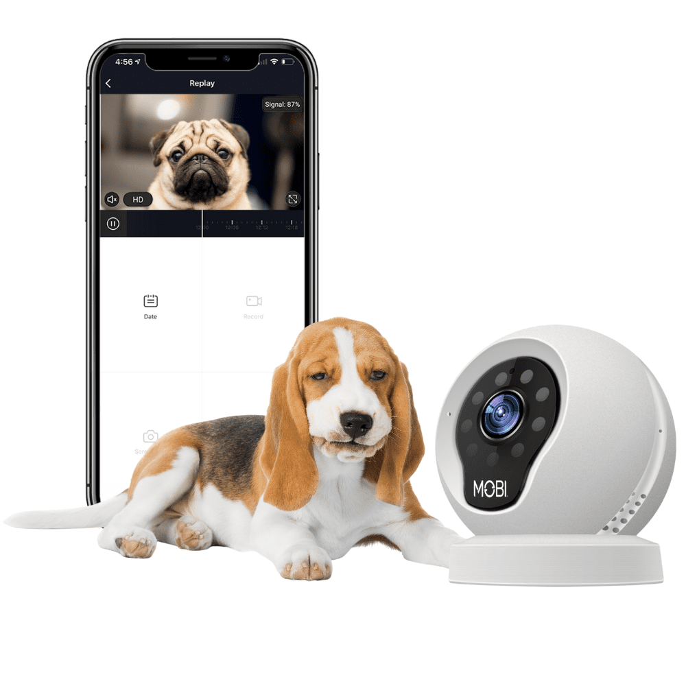 MOBI Pet Smart Night-Vision Wifi Pet Camera and Monitoring System - Smartphone App Compatible