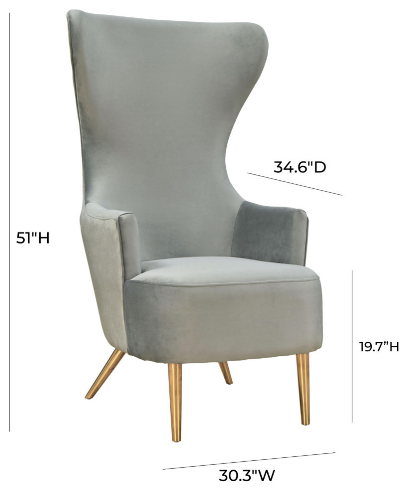 Julia Velvet Wingback Chair   Midcentury   Armchairs And Accent Chairs   by TOV Furniture  Houzz