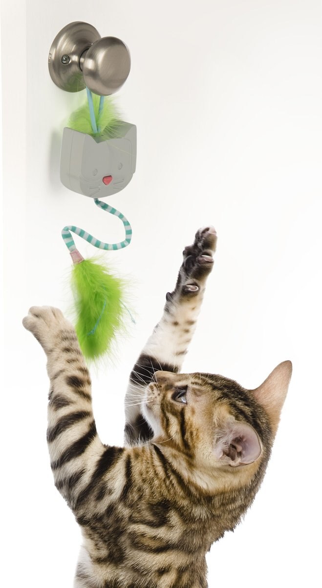 SmartyKat Twirly Tail Hanging Electronic Teaser Cat Toy