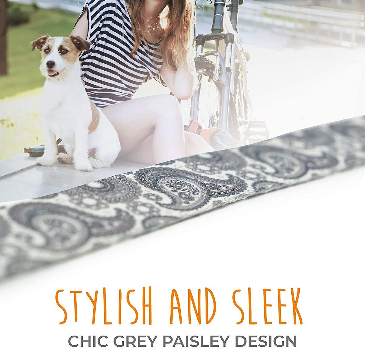 Mighty Paw Designer Paisley Dog Collar