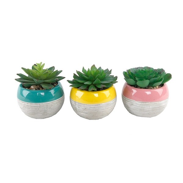 Succulent in Two tone lines pattern ceramic pot ，Teal