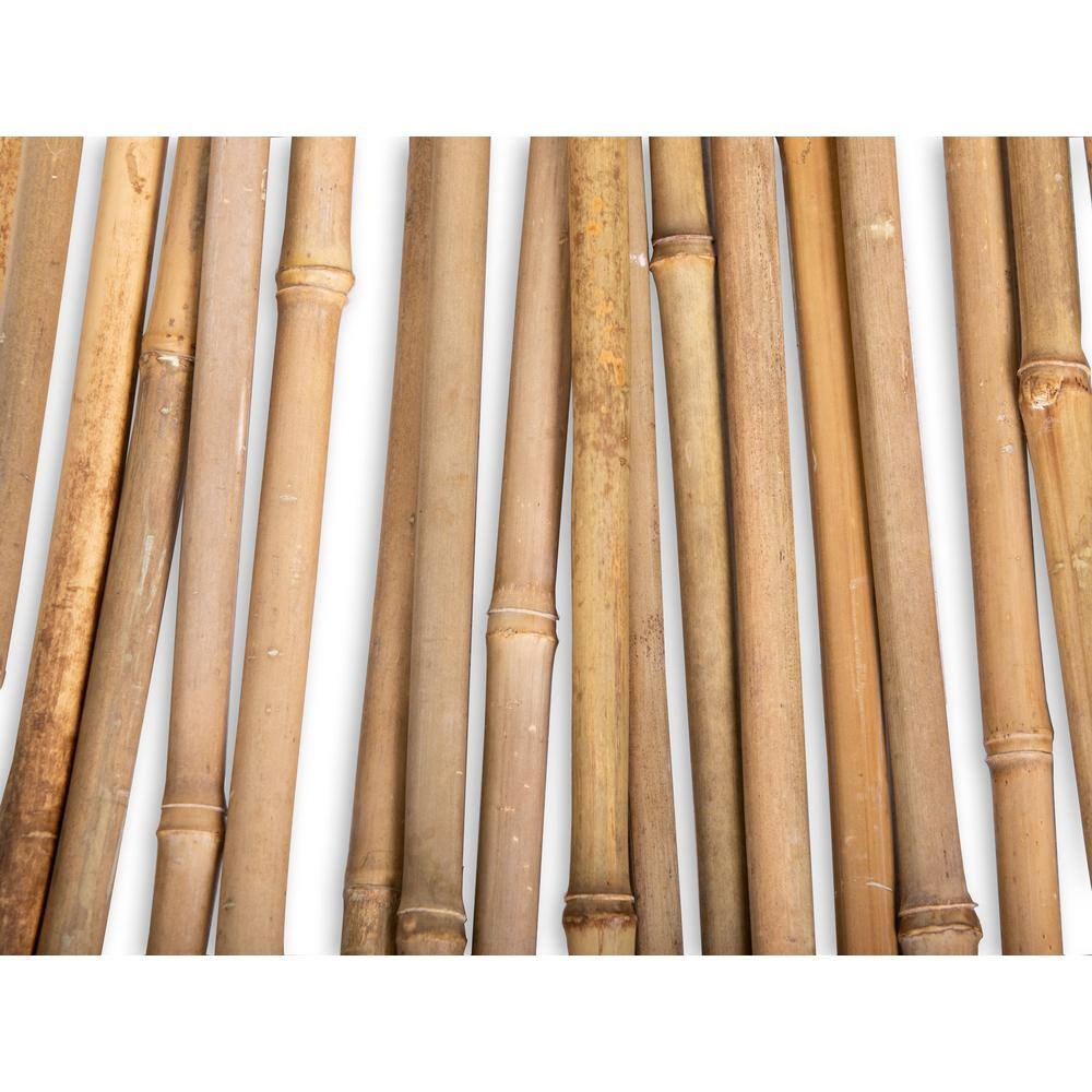 Backyard X-Scapes 12 in. x 6 ft. Natural Bamboo Poles (25-PackBundled) HDD-BP04