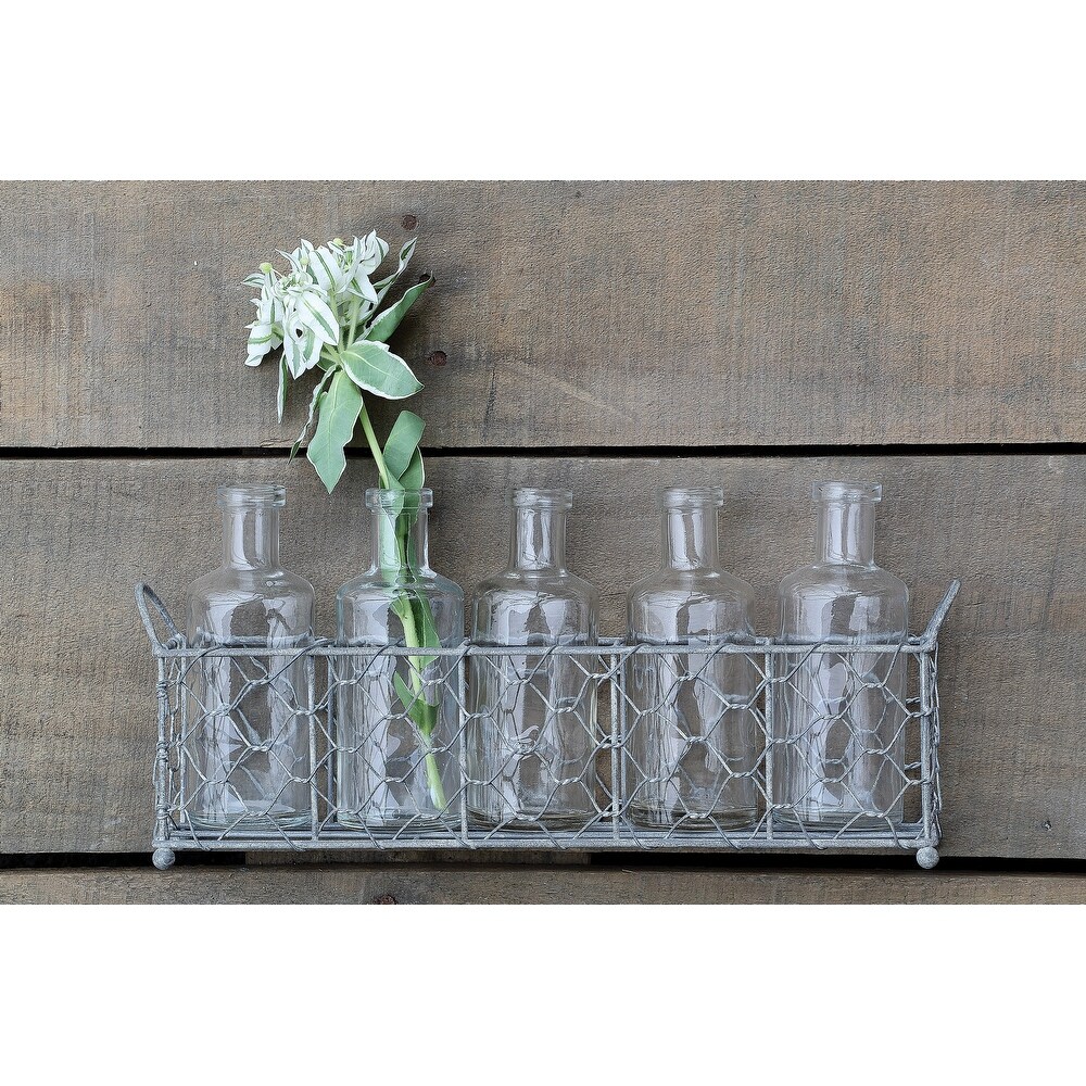 5 Glass Vase Bottles on a Rectangle Metal Holder with Handles   12.8\