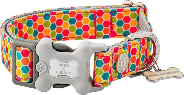 HUGO and HUDSON Nylon Geometric Bone Buckle Dog Collar