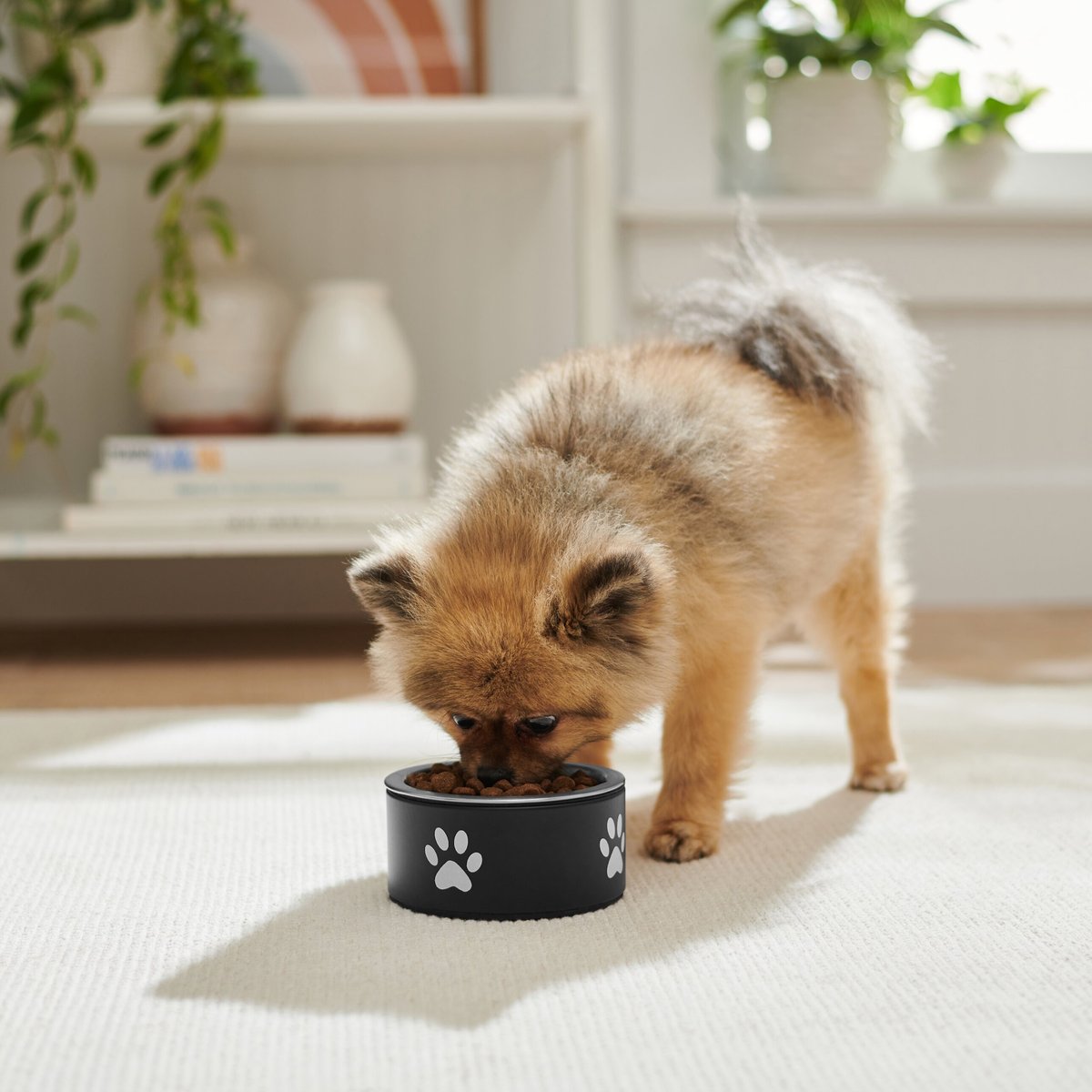 Frisco Paw Print Non-Skid Stainless Steel Dog and Cat Bowl