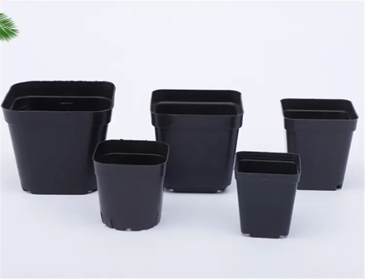 Planters  Succulent Pot without Plates for Bonsai   Horticultural supplies   black Plastic square flowerpot