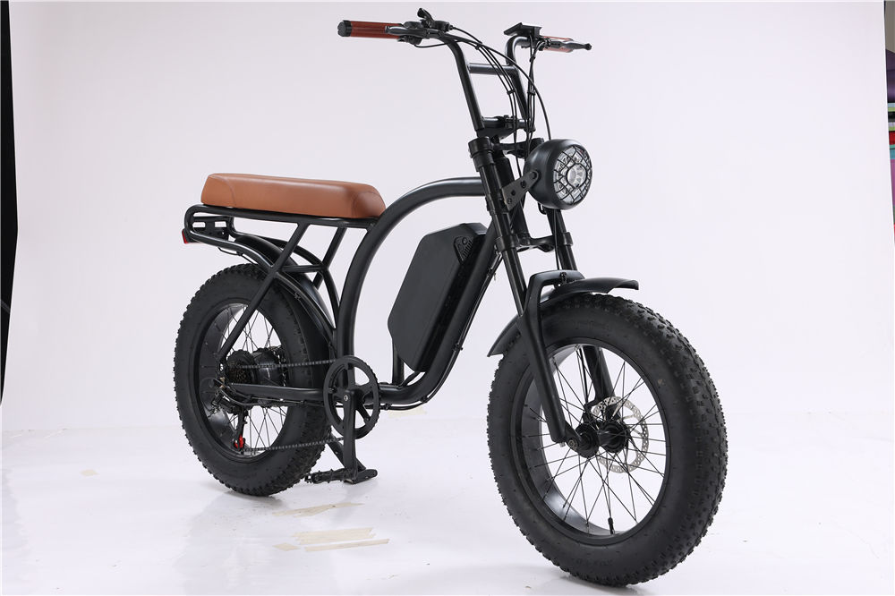 New Hot  Dual Lithium Battery Electric Mountain Bike Bicycle