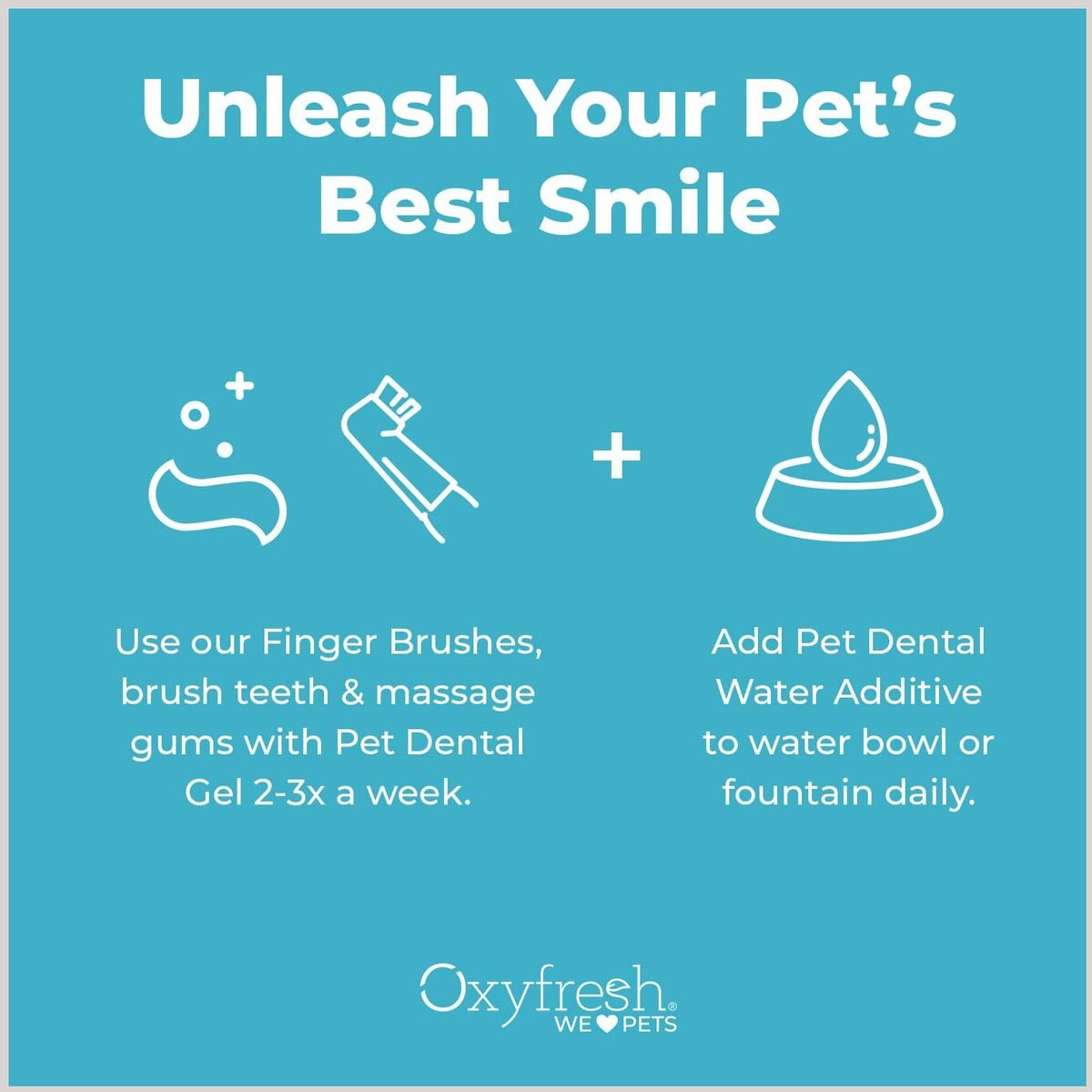 Oxyfresh Dog and Cat Dental Kit