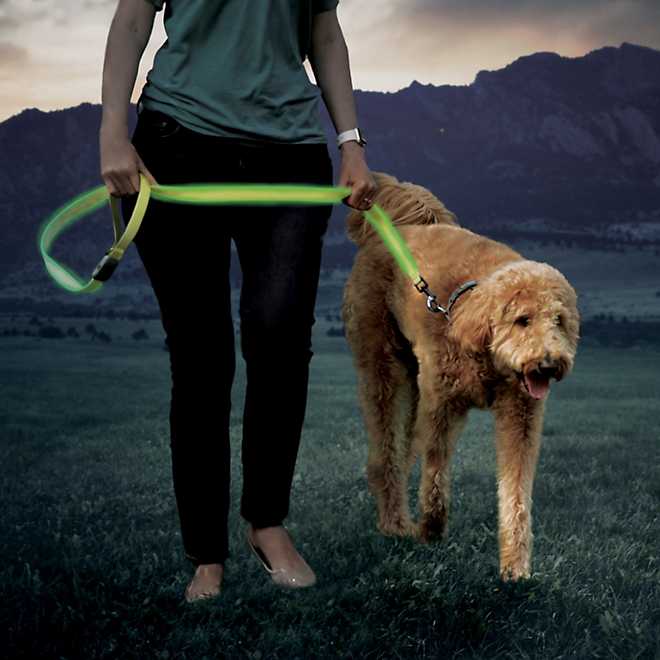 Nite Ize NiteDog 5 ft Rechargeable LED Pet Leash