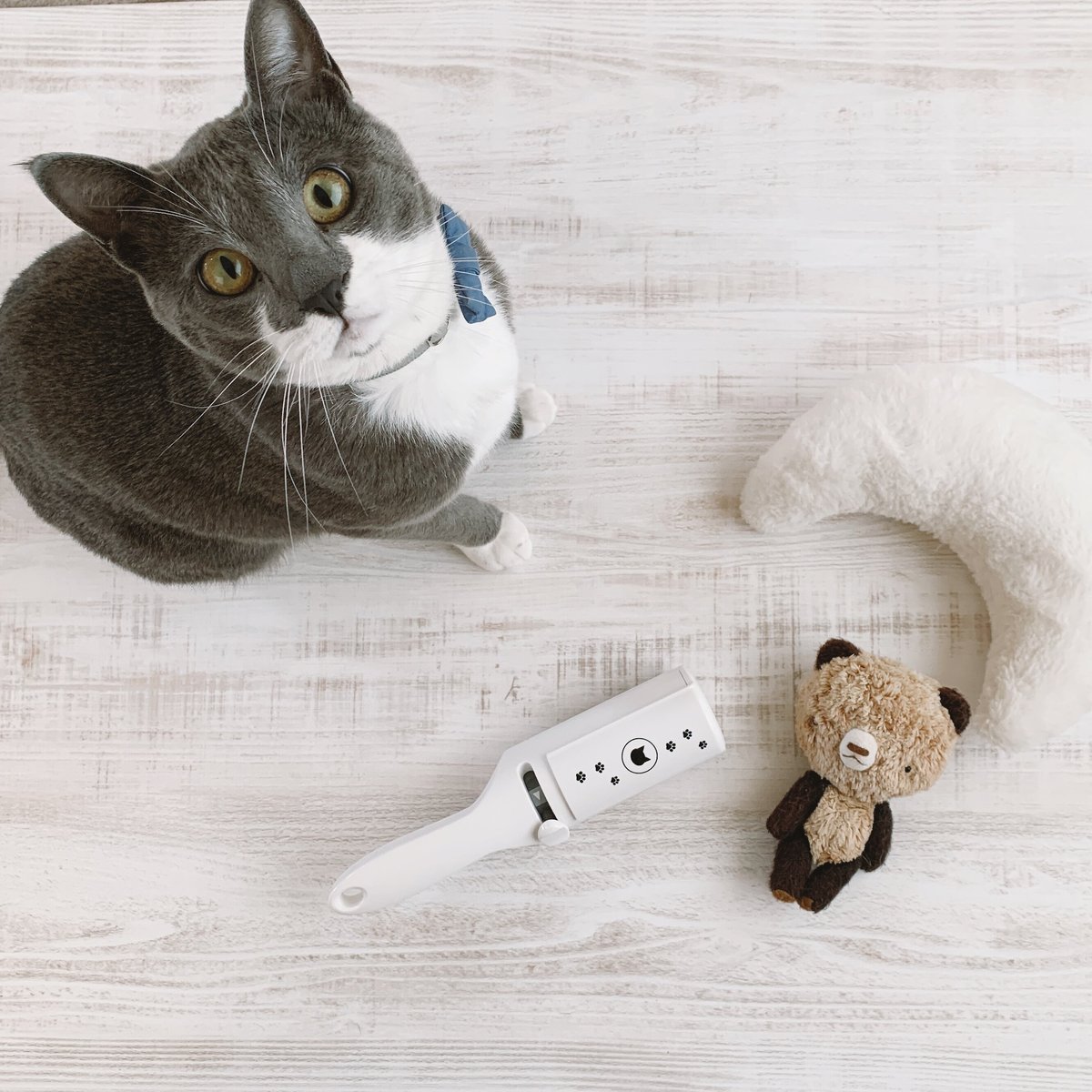 Necoichi Purrfection Neat and Easy Feline Hair Remover