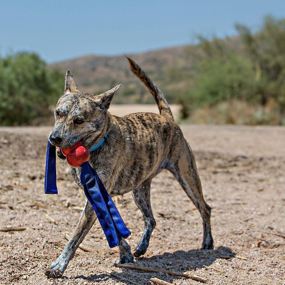 Classic tails dog toy