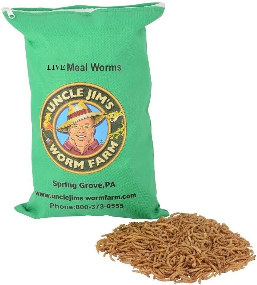 Uncle Jim's Worm Farm Live Mealworms Reptile and Fish Food