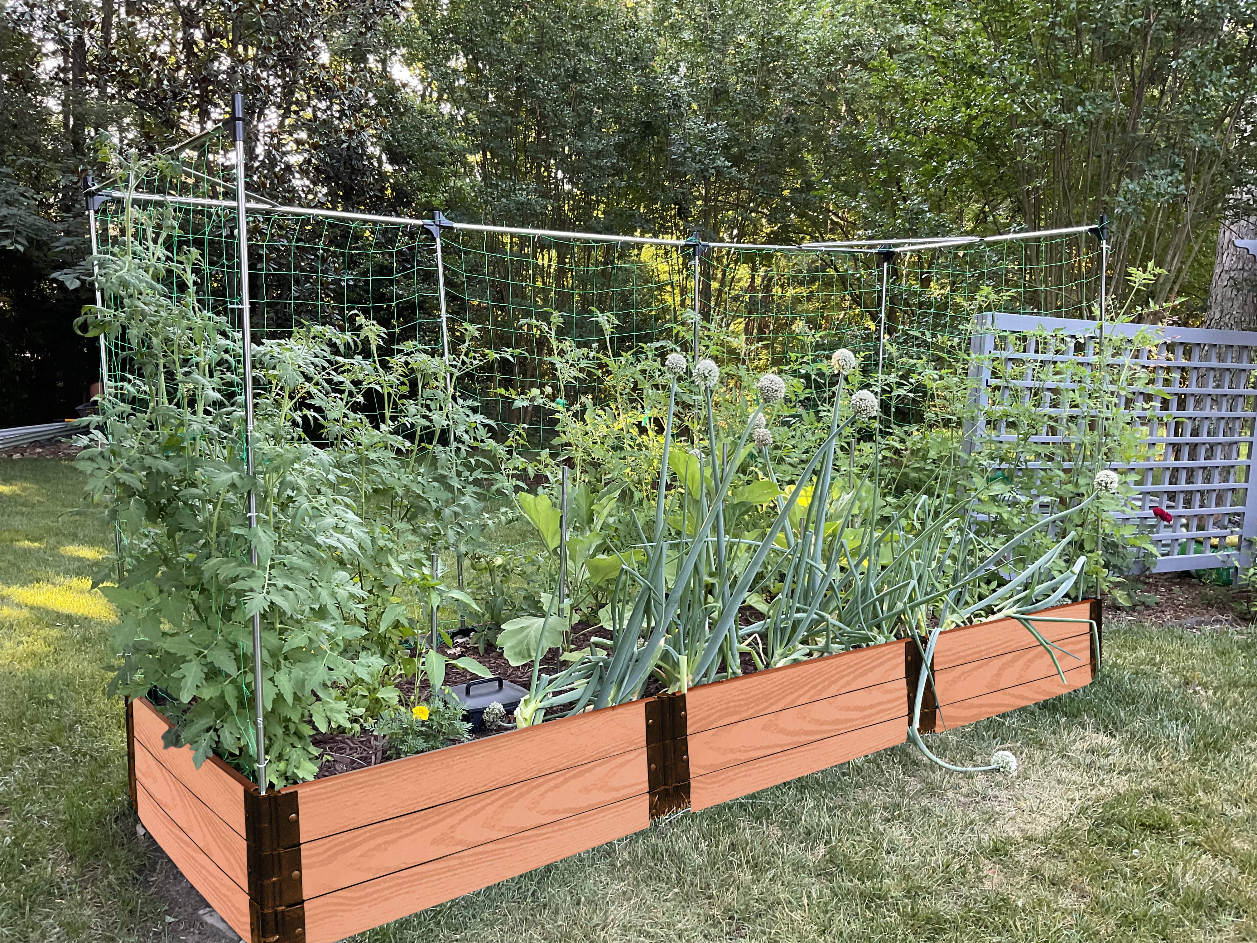 4' x 12' Raised Garden Bed with Trellis